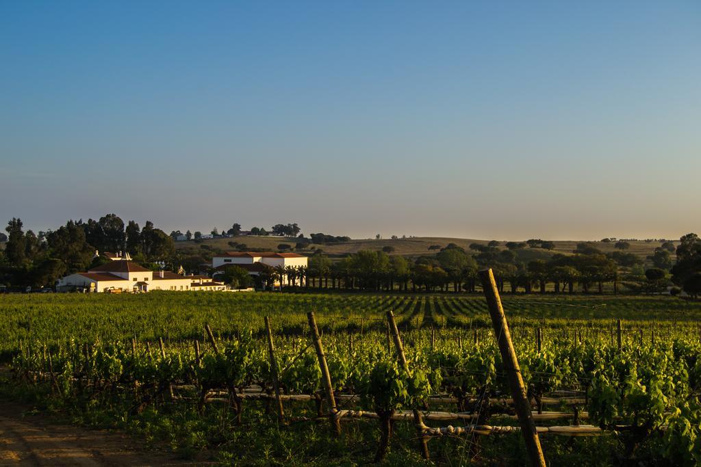 Herdade Da Calada Azaruja Екстериор снимка